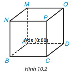 Quan sát Hình 10.2 và gọi tên đỉnh, cạnh, đường chéo, mặt đáy, mặt bên (ảnh 1)