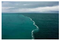 Vật lí có vai trò gì trong xác định hải lưu, sóng biển, thủy triều? (ảnh 1)
