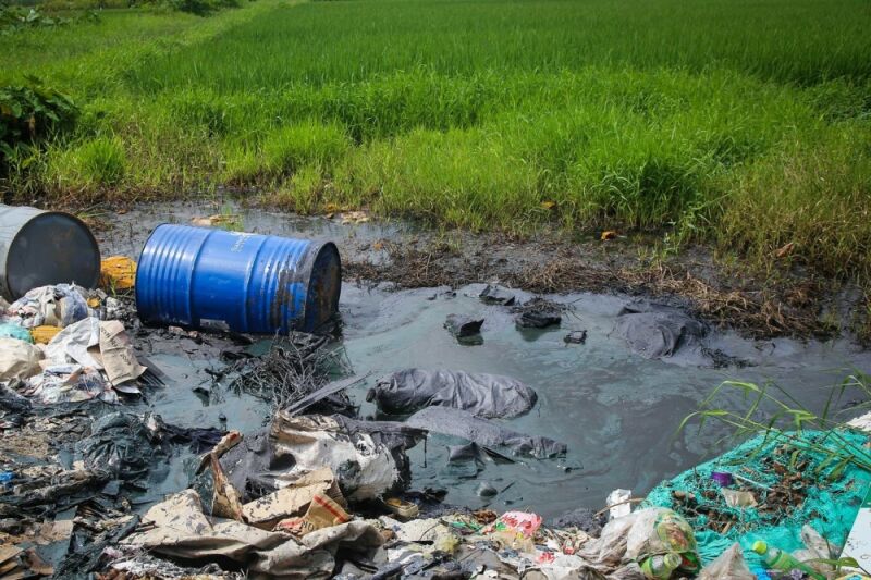 Top 10 mẫu Thuyết trình về vấn đề ô nhiễm môi trường hiện nay (hay nhất) (ảnh 1)