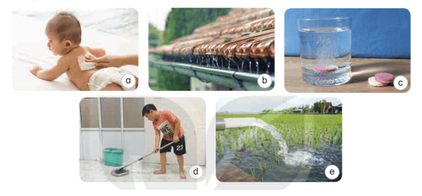 Bài 1: Tính chất của nước và nước với cuộc sống Khoa học lớp 4 (Kết nối tri thức) (ảnh 3)