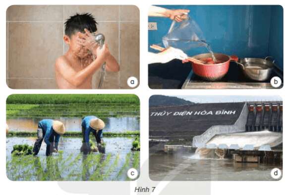 Bài 1: Tính chất của nước và nước với cuộc sống Khoa học lớp 4 (Kết nối tri thức) (ảnh 1)