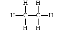  (ảnh 3)