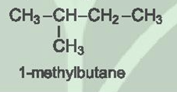 Hoá học 11 (Kết nối tri thức) Bài 15: Alkane (ảnh 4)