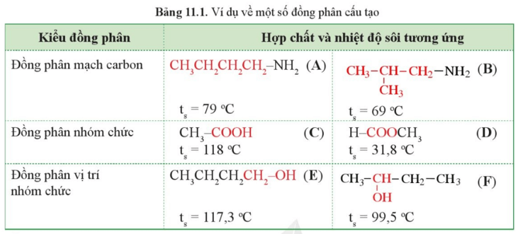  (ảnh 11)