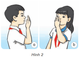 Bài 5: Vai trò của không khí và bảo vệ bầu không khí trong lành Khoa học lớp 4 (Kết nối tri thức) (ảnh 6)