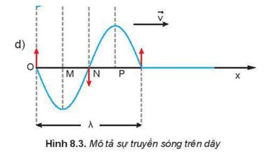 Vật lí 11 (Kết nối tri thức) Bài 8: Mô tả sóng (ảnh 1)