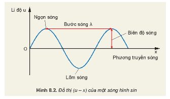 Vật lí 11 (Kết nối tri thức) Bài 8: Mô tả sóng (ảnh 2)
