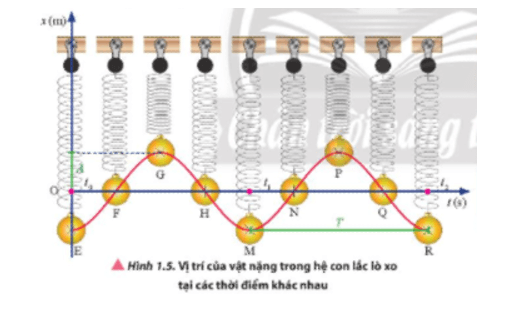 Vật lí 11 ( Chân trời sáng tạo ) Bài 1: Mô tả dao động (ảnh 6)