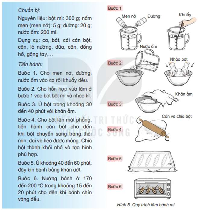 Bài 20: Nấm ăn và nấm trong chế biến thực phẩm Khoa học lớp 4 (Kết nối tri thức) (ảnh 2)