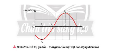  (ảnh 10)