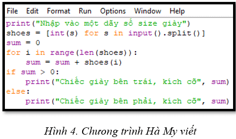 Trò chơi với các chiếc giày (ảnh 1)