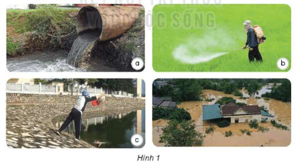 Bài 3: Sự ô nhiễm và bảo vệ nguồn nước. Một số cách làm sạch nước Khoa học lớp 4 (Kết nối tri thức) (ảnh 6)
