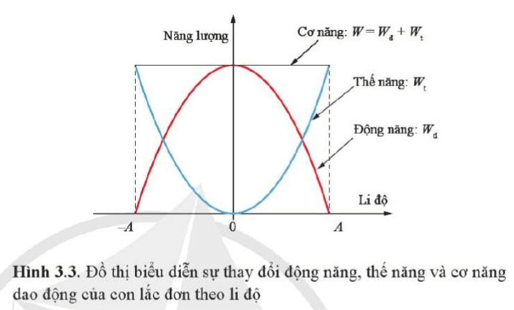  (ảnh 1)