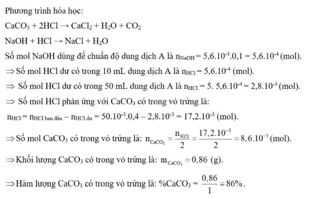 SBT Hóa 11 (Kết nối tri thức) Bài 2: Cân bằng trong dung dịch nước (ảnh 2)