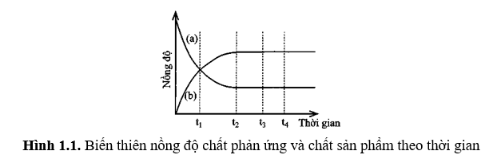 SBT Hóa 11 (Cánh diều) Bài 1: Mở đầu về cân bằng hoá học (ảnh 1)