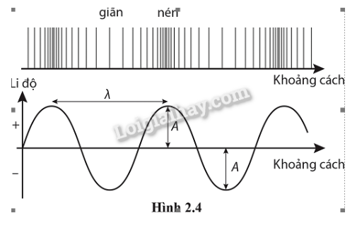  (ảnh 2)