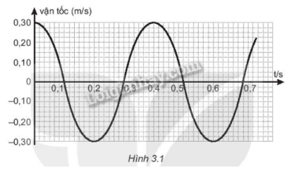 SBT Vật lí 11 (Kết nối tri thức) Bài 3: Vận tốc, gia tốc trong dao động điều hòa (ảnh 1)