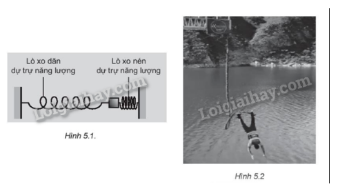 SBT Vật lí 11 (Kết nối tri thức) Bài 5: Động năng. Thế năng. Sự chuyển hóa năng lượng trong dao động điều hòa (ảnh 1)