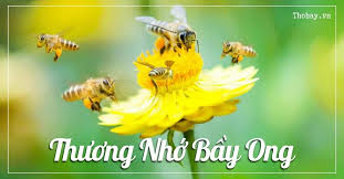 Top 50 mẫu Viết một đoạn văn nêu cảm nghĩ của em về văn bản “Thương nhớ bầy ong” (hay nhất) (ảnh 3)