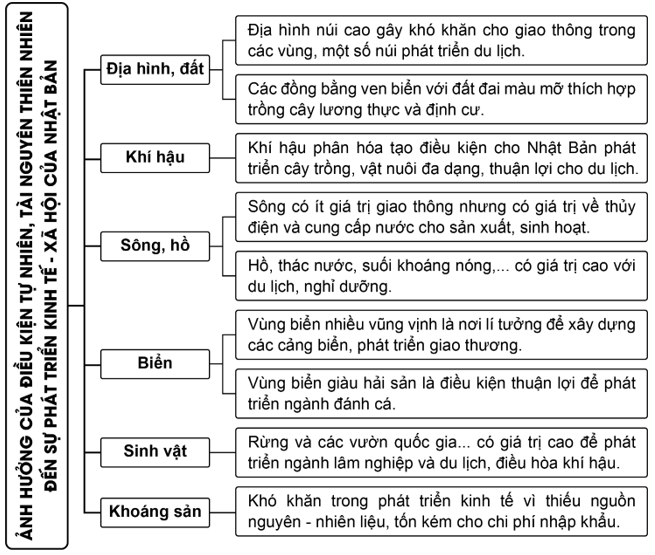  (ảnh 1)