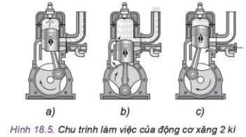  (ảnh 1)