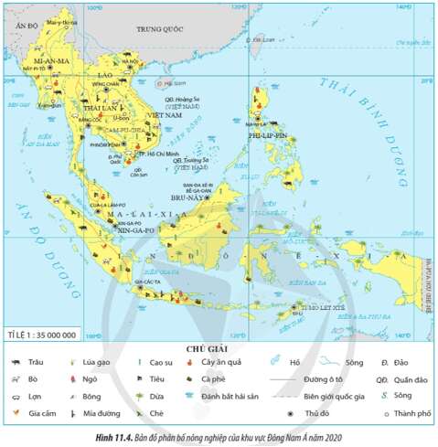 Kể tên một số cây trồng vật nuôi chủ yếu ở khu vực Đông Nam Á (ảnh 1)