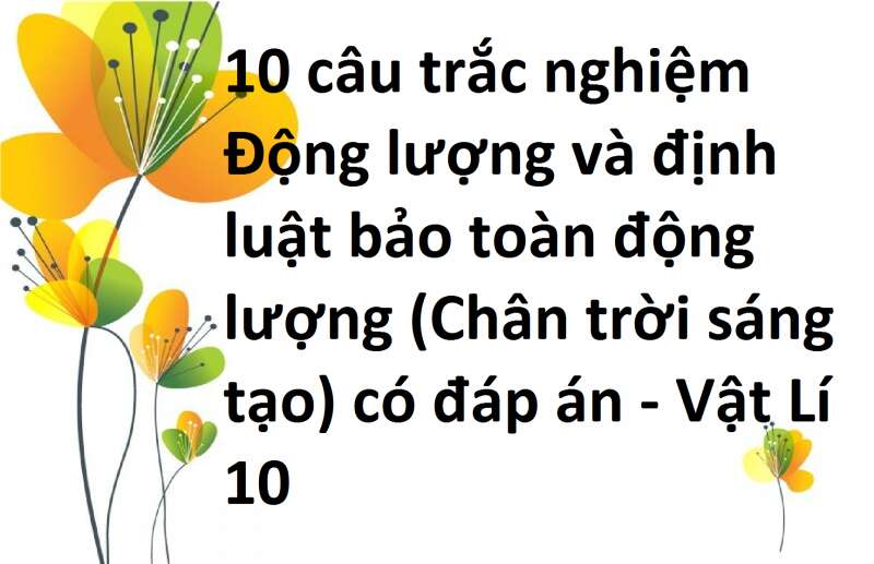 10 câu trắc nghiệm Động lượng và định luật bảo toàn động lượng (Chân trời sáng tạo) có đáp án - Vật Lí 10