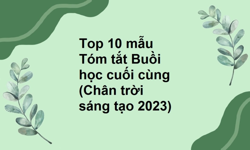 Top 10 mẫu Tóm tắt Buồi học cuối cùng (Chân trời sáng tạo 2023)