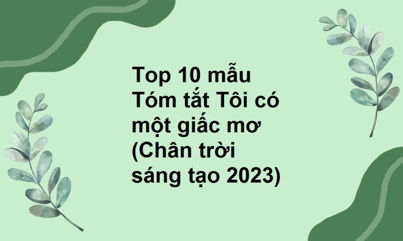 Top 10 mẫu Tóm tắt Tôi có một giấc mơ (Chân trời sáng tạo 2023)