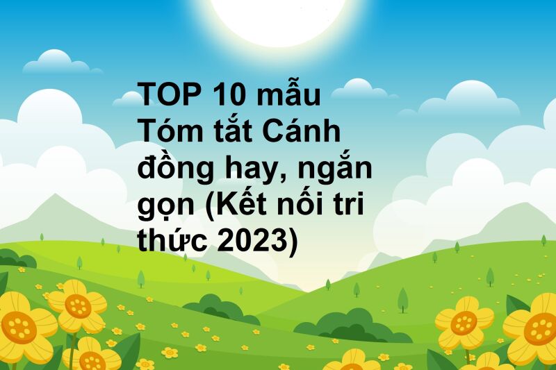 TOP 10 mẫu Tóm tắt Cánh đồng hay, ngắn gọn (Kết nối tri thức 2023)