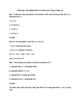 30 bài tập trắc nghiệm Một số muối quan trọng (có đáp án)