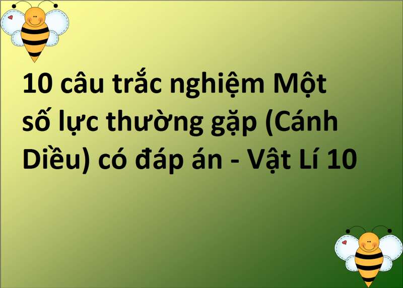 10 câu trắc nghiệm Một số lực thường gặp (Cánh Diều) có đáp án - Vật Lí 10