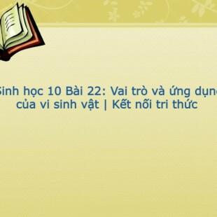 Sinh học10 Kết nối tri thức Bài 22: Vai trò và ứng dụng của vi sinh vật