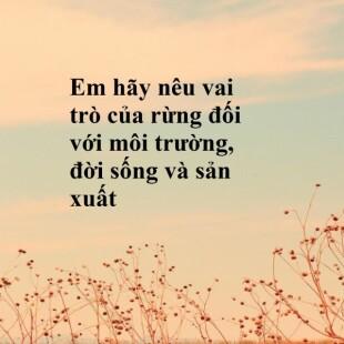 Em hãy nêu vai trò của rừng đối với môi trường, đời sống và sản xuất