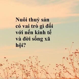 Nuôi thuỷ sản có vai trò gì đối với nến kinh tế và đời sống xã hội?