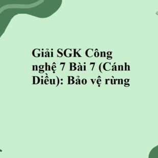 Giải SGK Công nghệ 7 Bài 7 (Cánh Diều): Bảo vệ rừng