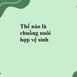 Thế nào là chuồng nuôi hợp vệ sinh