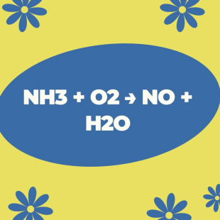 Có mấy nguyên tố tham gia trong phản ứng NH3 + O2?
