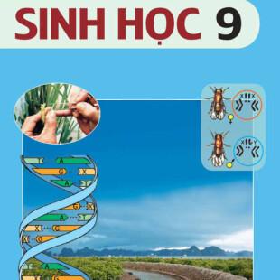 Sinh 9 Bài 12: Cơ chế xác định giới tính | Giải Sinh lớp 9