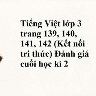 Tiếng Việt lớp 3 trang 139, 140, 141, 142 (Kết nối tri thức) Đánh giá cuối học kì 2