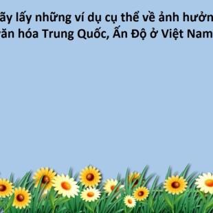 Em hãy lấy những ví dụ cụ thể về ảnh hưởng của văn hóa Trung Quốc, Ấn Độ ở Việt Nam.