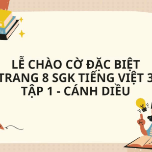 Lễ chào cờ đặc biệt trang 8 SGK Tiếng Việt 3 Tập 1 - Cánh diều