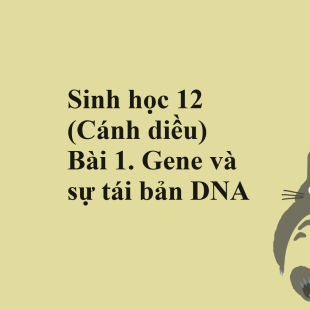 Sinh học 12 (Cánh diều) Bài 1. Gene và sự tái bản DNA