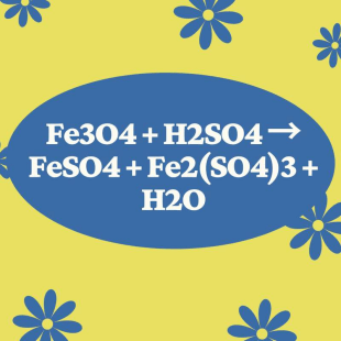 Phản ứng hoá học giữa Fe3O4 và FeSO4 như thế nào?