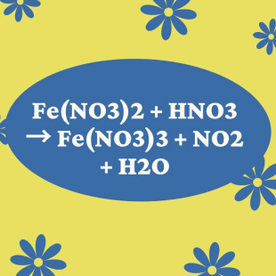Phản ứng giữa HNO3 và Fe(NO3)2 có tính chất oxi-hoá khử như thế nào? 
