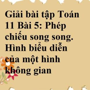 Toán 11 Bài 5: Phép Chiếu Song Song. Hình Biểu Diễn Của Một Hình Không Gian  | Giải Toán Lớp 11