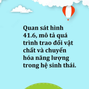 Chế tạo được mô hình đơn giản minh họa định luật bảo toàn năng lượng Giải  thích được nếu một vật chuyển động lên dốc xuống dốc hoặc trên mặt phẳng  ngang