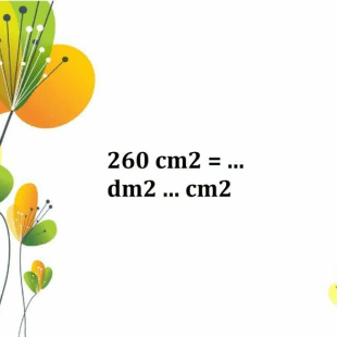 260-cm2-dm2-cm2