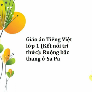 Giáo án Tiếng Việt lớp 1 (Kết nối tri thức): Ruộng bậc thang ở Sa Pa 