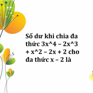 s-d-khi-chia-a-th-c-3x-4-2x-3-x-2-2x-2-cho-a-th-c-x-2-l